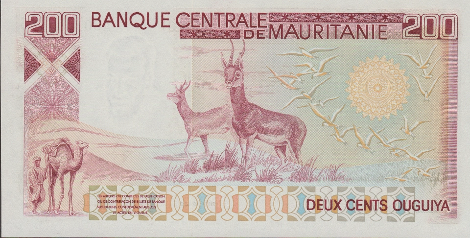 Imagem do verso da cédula