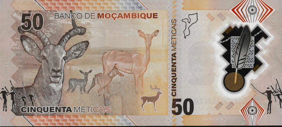 Imagem do verso da cédula