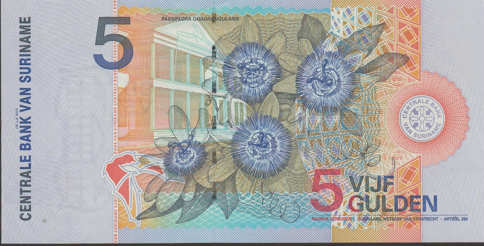 Imagem do verso da cédula
