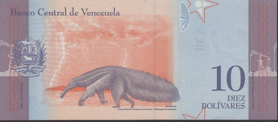 Imagem do verso da cédula