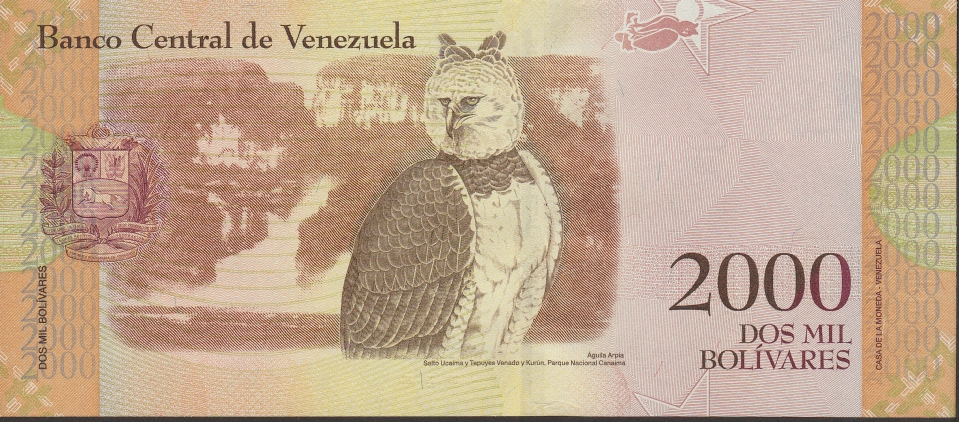 Imagem do verso da cédula